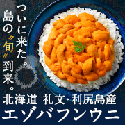 バフンウニ