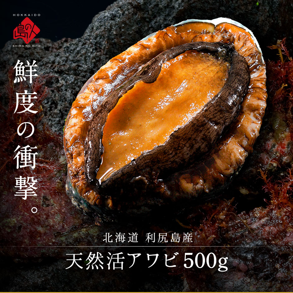 活アワビ