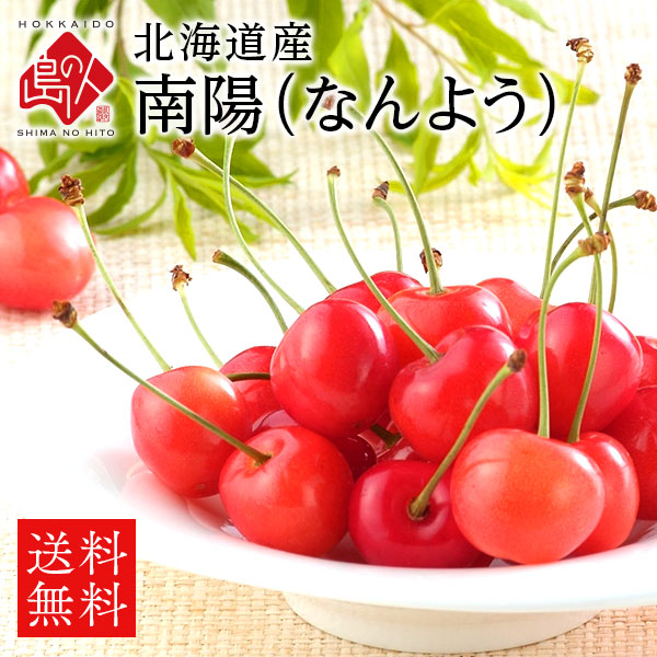 さくらんぼ 北海道産 南陽 2Lサイズ【送料無料】【産地直送】