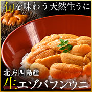 北方バフンウニ