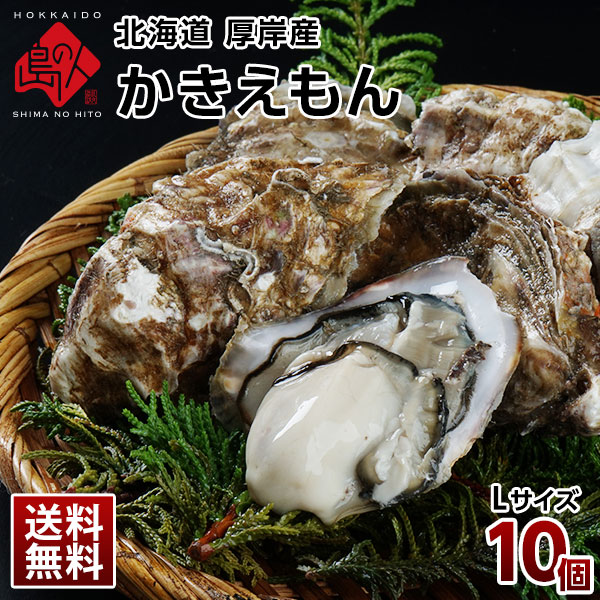北海道 厚岸産 生牡蠣(カキえもん) 殻付き 10個(Lサイズ)【送料無料】