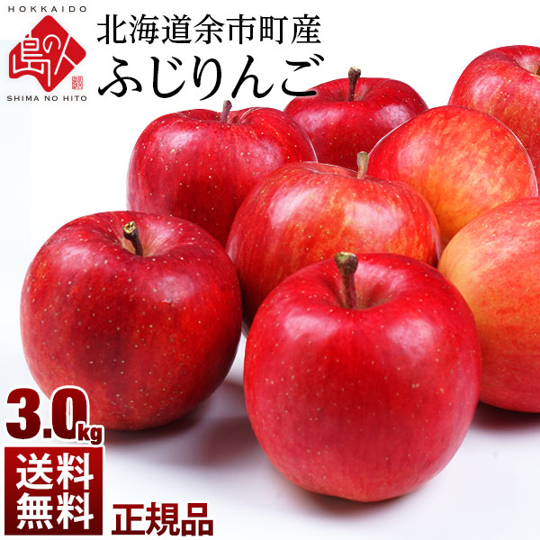 北海道余市産 りんご リンゴ3kg（正規品・品種：ふじ）【送料無料】 