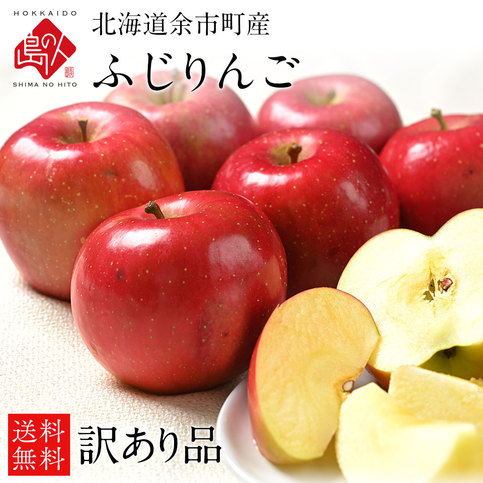 北海道 余市産 りんご リンゴ（訳あり品・品種：ふじ）【送料無料】