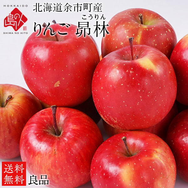 【11月4日～6日お届け】北海道 余市産 りんご リンゴ 良品（訳あり品・品種：昴林）【送料無料】