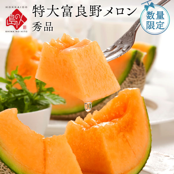 北海道 富良野 メロン 特大 【送料無料】