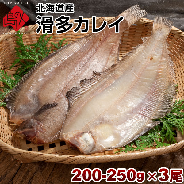 北海道産 滑多鰈(なめたかれい)200-250g 3尾セット