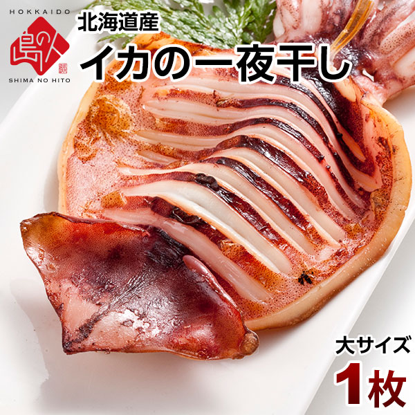 羅臼産　イカの一夜干し（大サイズ）