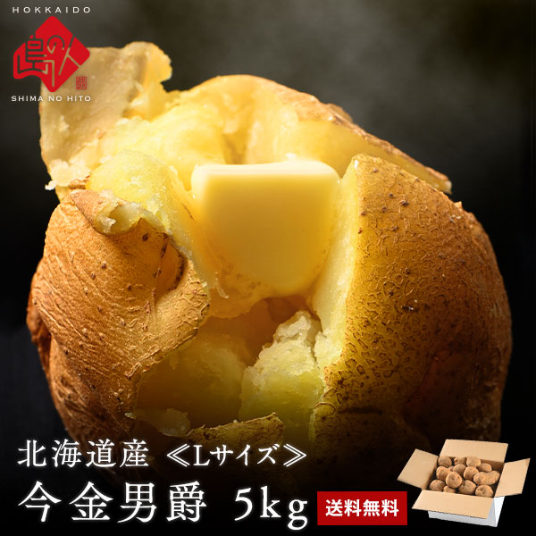北海道産 今金男爵 Ｌサイズ 5kg【送料無料】