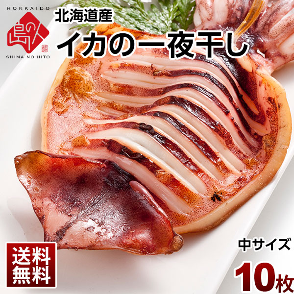 【送料無料】イカの一夜干し 中サイズ(10枚入)　いか