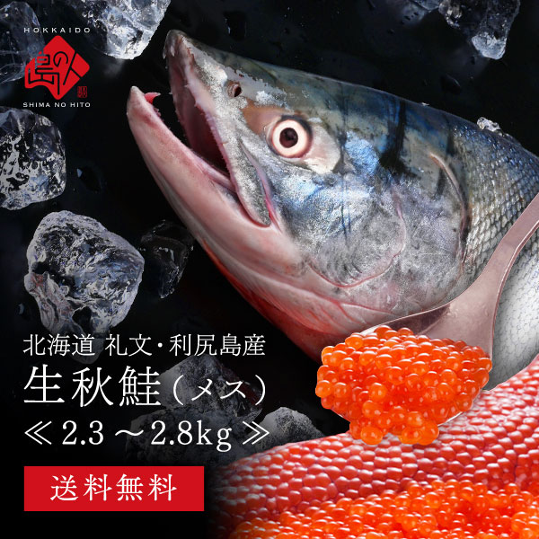 北海道 礼文・利尻島産 秋鮭 メス 2.3～2.8kg前後 送料無料