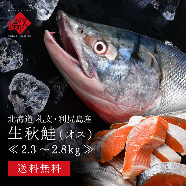 北海道 礼文・利尻島産 秋鮭 オス  2.3～2.8kg前後 (姿) 送料無料