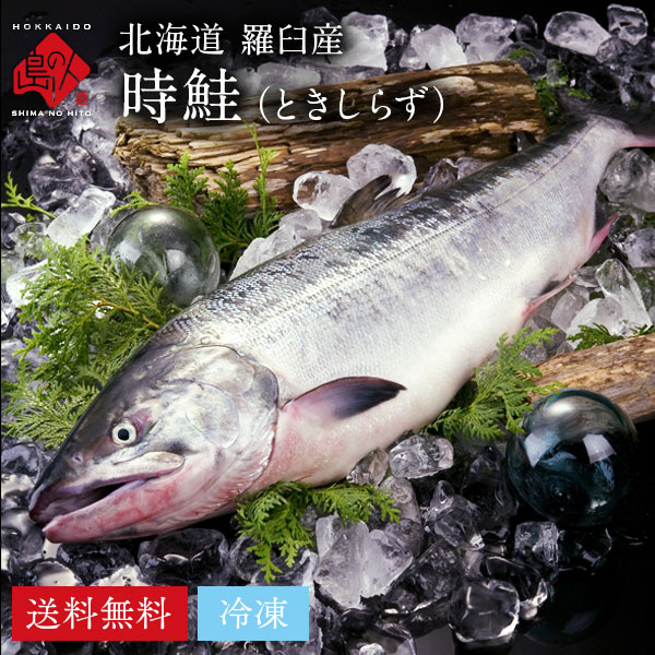 北海道 羅臼産 時鮭(トキシラズ) 姿