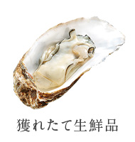 とれたて特急便